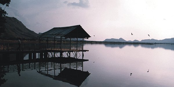 Untitled-1-51 (1)